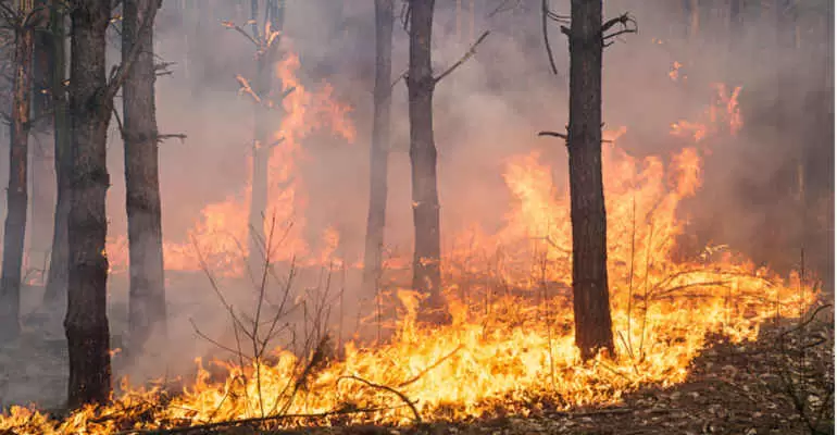 PREVENZIONE INCENDI AVVISO